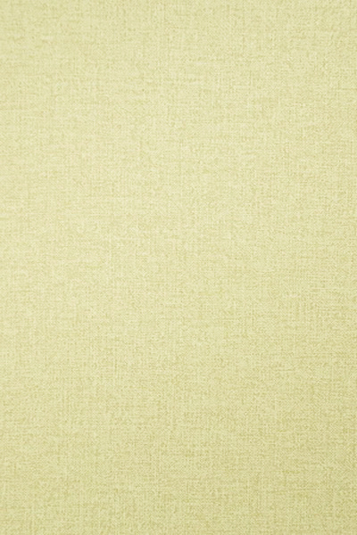 Панель ПВХ Лен фисташковый Ламинированная панель  250мм DEKOR PANEL DP184