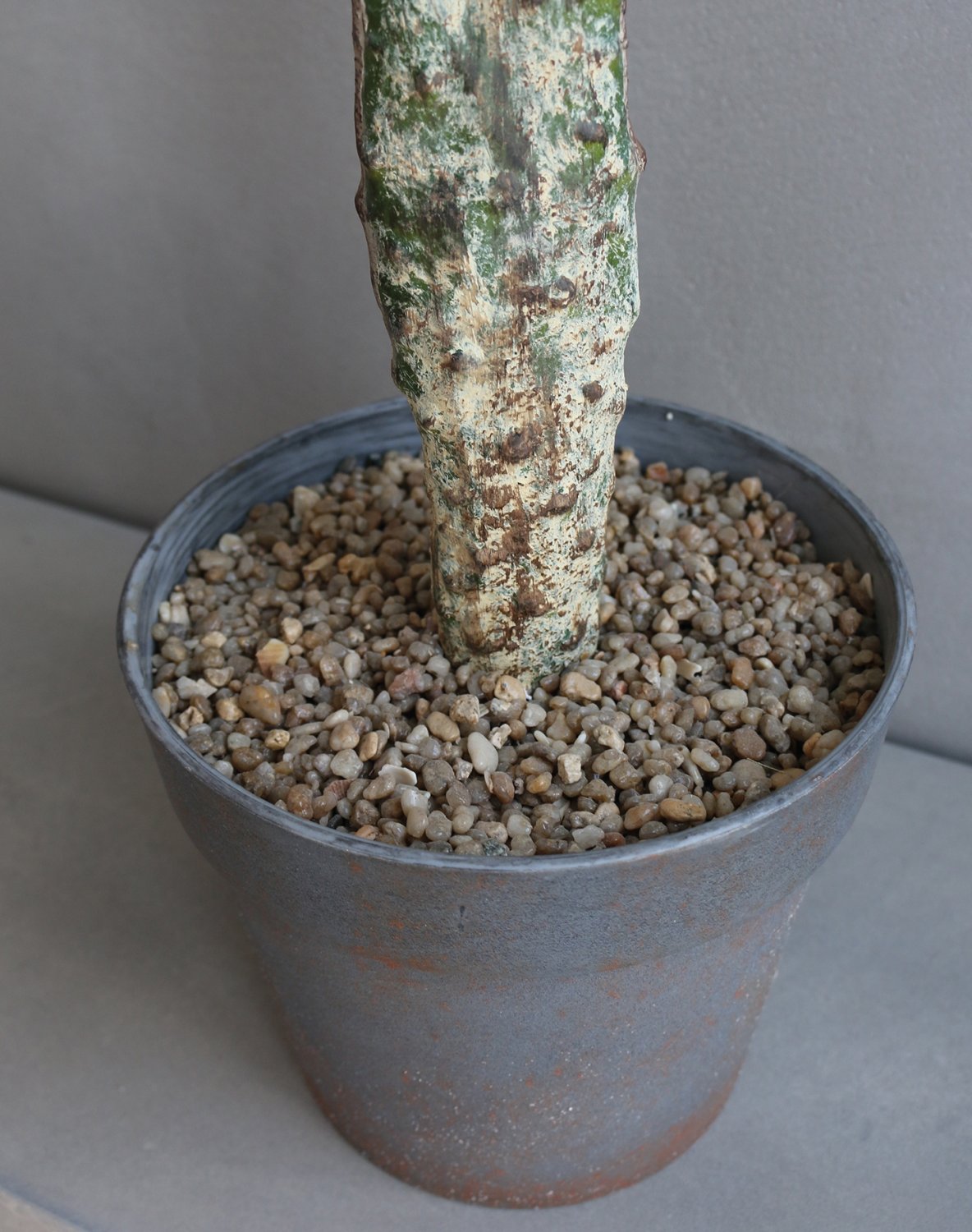 6106 883 a3 Искусственный кактус опунция, горшечная, 130 см, зеленая H-andreas 