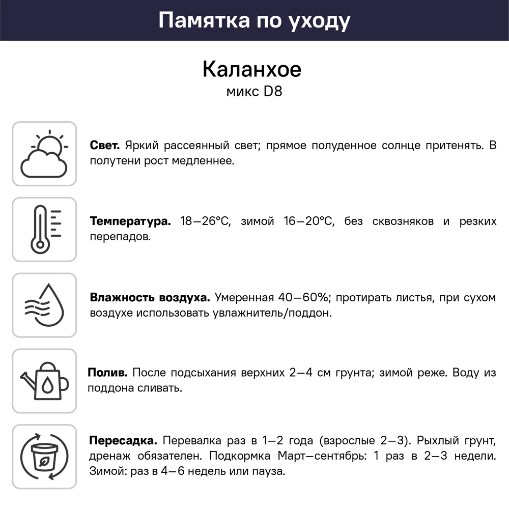 Каланхое микс ø8 h15 см 89413084 STLM-2193566 Santreyd  - Вид №3