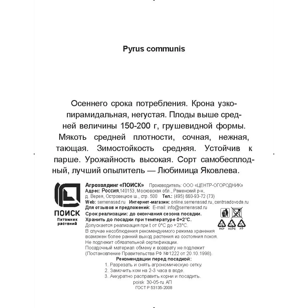Груша обыкновенная Красавица Черненко h200 см Поиск Инвест 84399299 STLM-2003845 Santreyd  - Вид №2