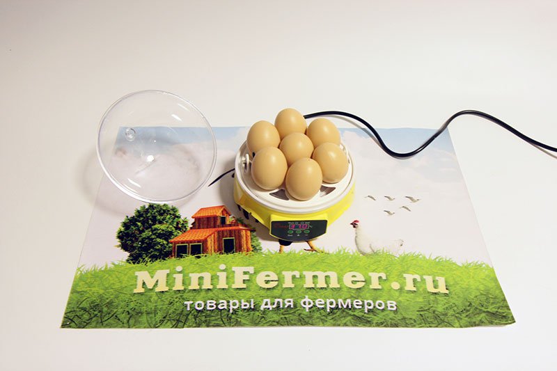 2003 Инкубатор для яиц Мини-7 LAB.Space  - Вид №5