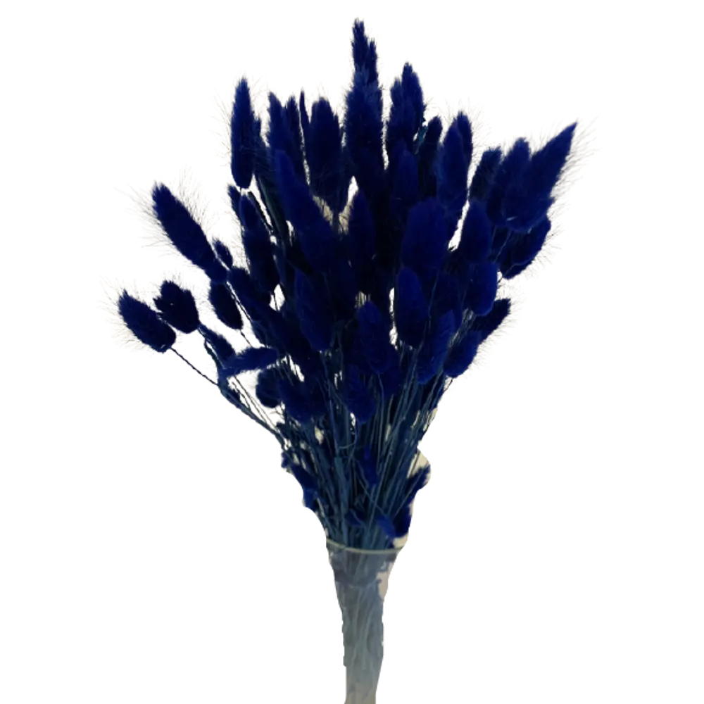 Букет из сухих цветов Лагурус микс 2 70 см Santreyd STLM-2185331 - Вид №9