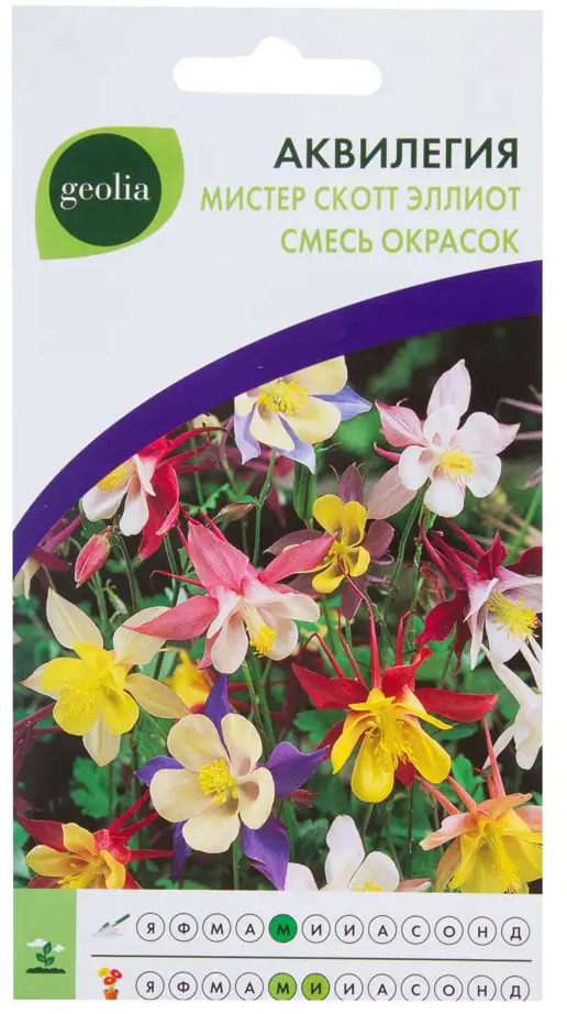 GEOLIA Аквилегия Мистер Скотт Эллиот - изящный многолетник для тенистого сада 17585711
