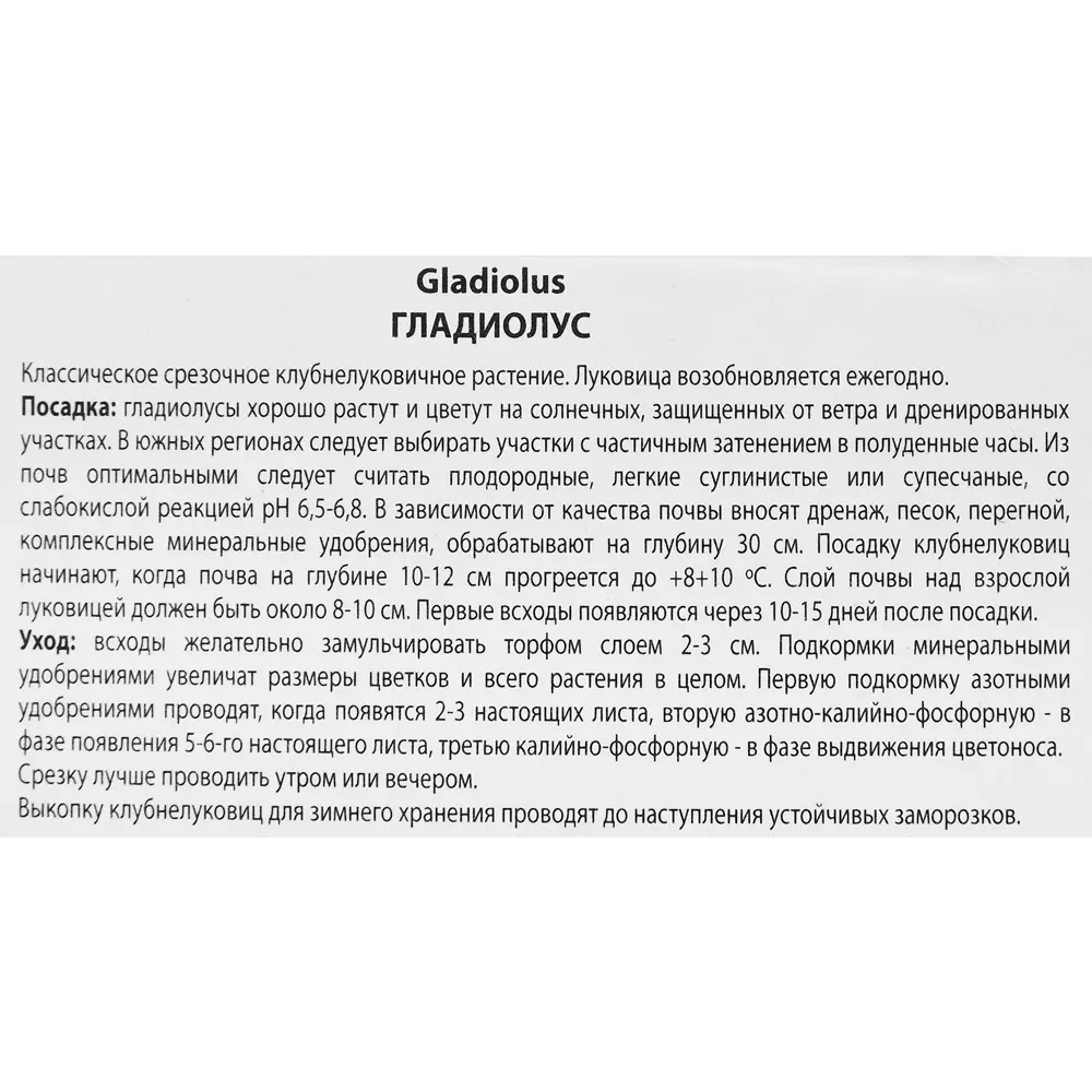 Гладиолус крупноцветковый Грейхаунд, 3 шт 86410032 STLM-2036175 ПОИСК  - Вид №2