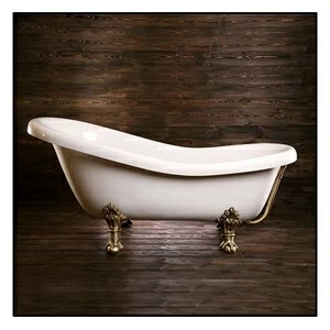 Ванна Akcjum Rectime 175 WR-01-05-BR овальная белая с золотыми ножками