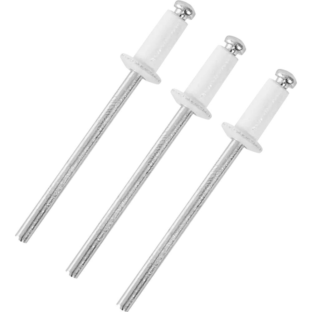 Заклепка RAL9003 белая 3.2x8 мм, 50 шт. 86487286 STLM-2017006 Santreyd 