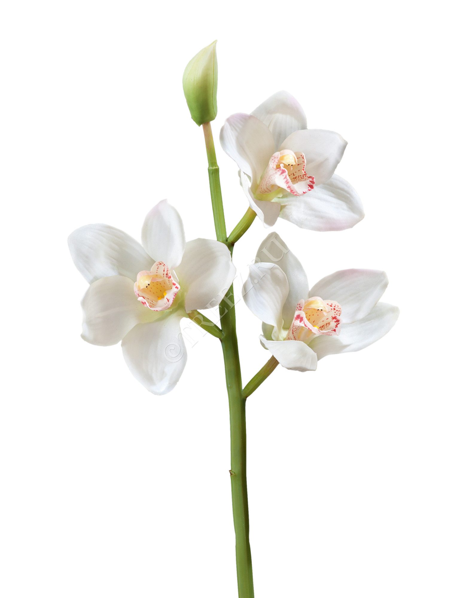 30.0611084WH Орхидея Цимбидиум ветвь белая малая Цветочная коллекция 
