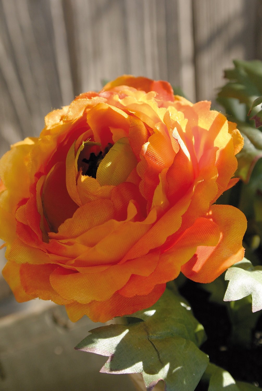 4604 334 a2 Лютик искусственный, горшечный, 6-кратный, 29 см, оранжевый H-andreas  - Вид №2