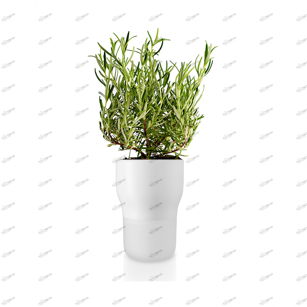 EVA SOLO 568146 Горшок для растений с функцией самополива, 11 см, белый Стекло, керамика, нейлон 