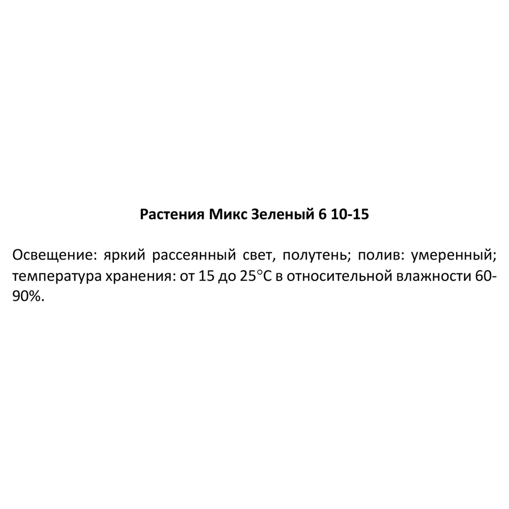 Santreyd Микс декоративно-лиственных растений в горшке ø6 см 82932719 STLM-0038102 - Вид №2