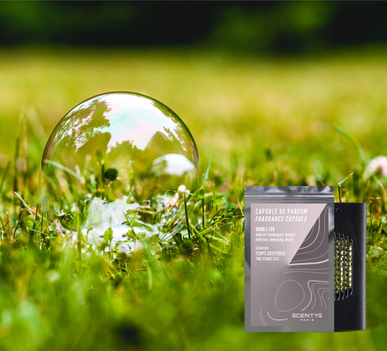 F1233 Ароматическая капсула SCENTYS Santreyd 