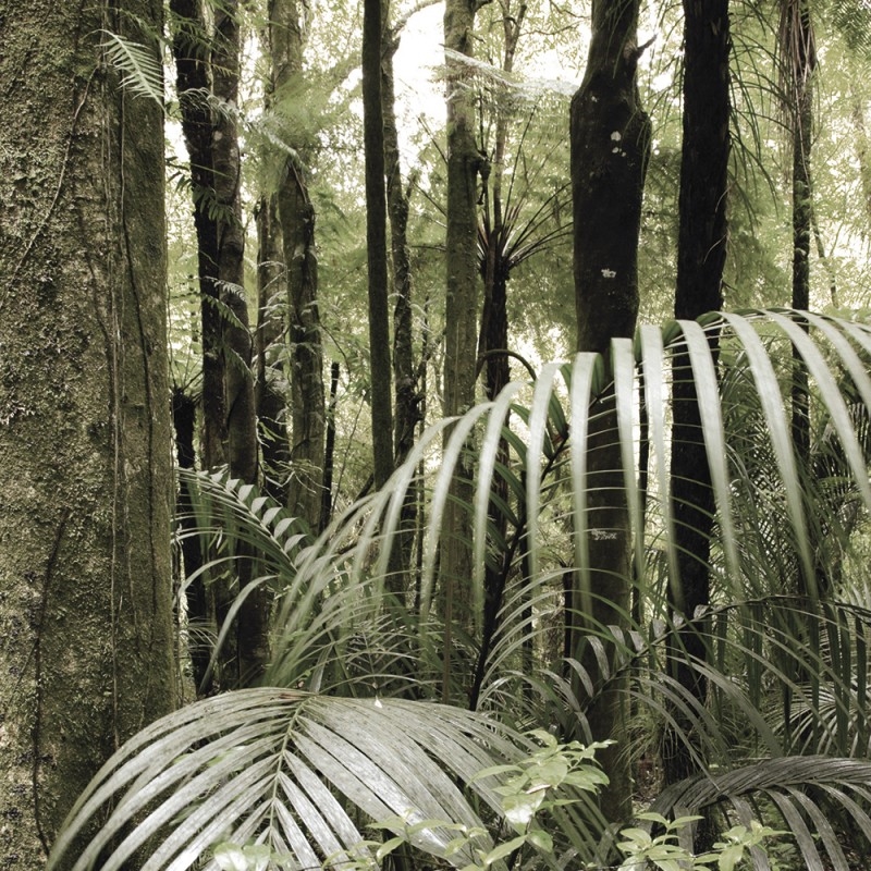 1003/CX38 Картина 1003 Adriani e Rossi  - Вид №1