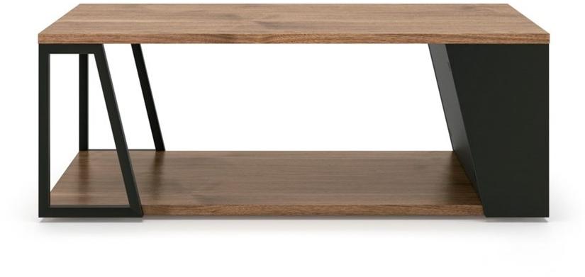 TemaHome Низкий деревянный журнальный столик с журнальной полкой Albi 9003.629938/21  - Вид №1