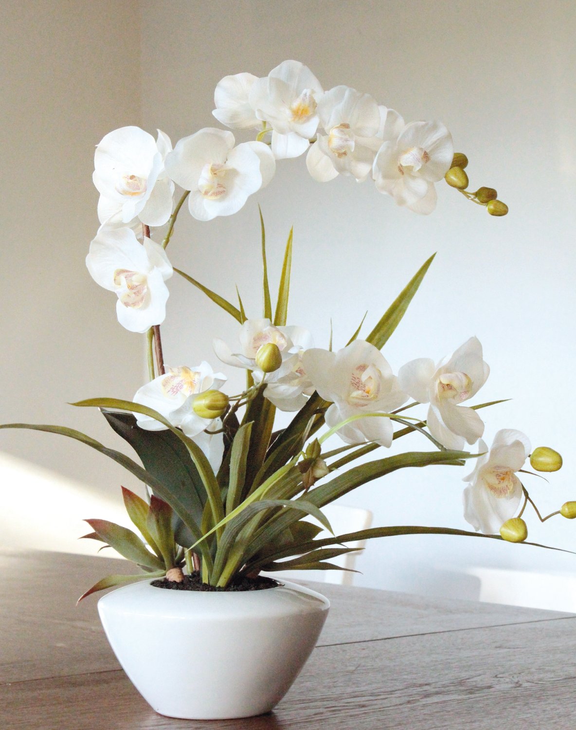 2768 778 a3 Пластиковая орхидея Phalaenopsis с суккулентами, горшечная, 55 см, бежево-белая H-andreas  - Вид №2