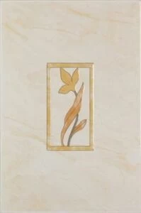 Венера 1 пал 20х30