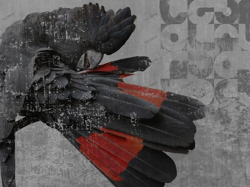 Wall&decò По причинам Contemporary wallpaper 2013 Gpw1301