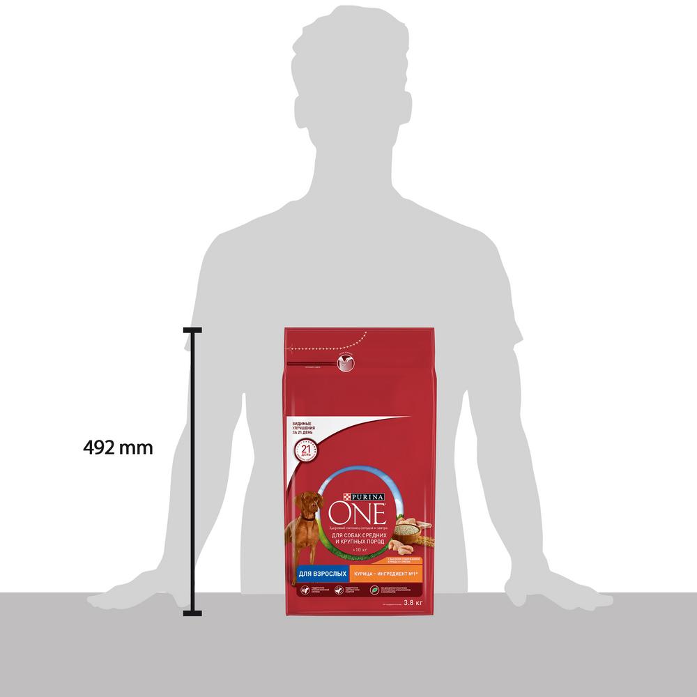 ПР0059691 Корм для собак для средних и крупных пород, курица, рис сух. 3,8кг ONE  - Вид №6