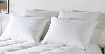 GR_50 Подушка Grand Hotel 50/70 50% пух 50% перо, обработка анти-клещевая Phytopure Blanc des Vosges Santreyd 