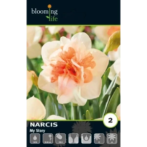 Луковицы нарцисса махрового Май Стори 14/16 89433010