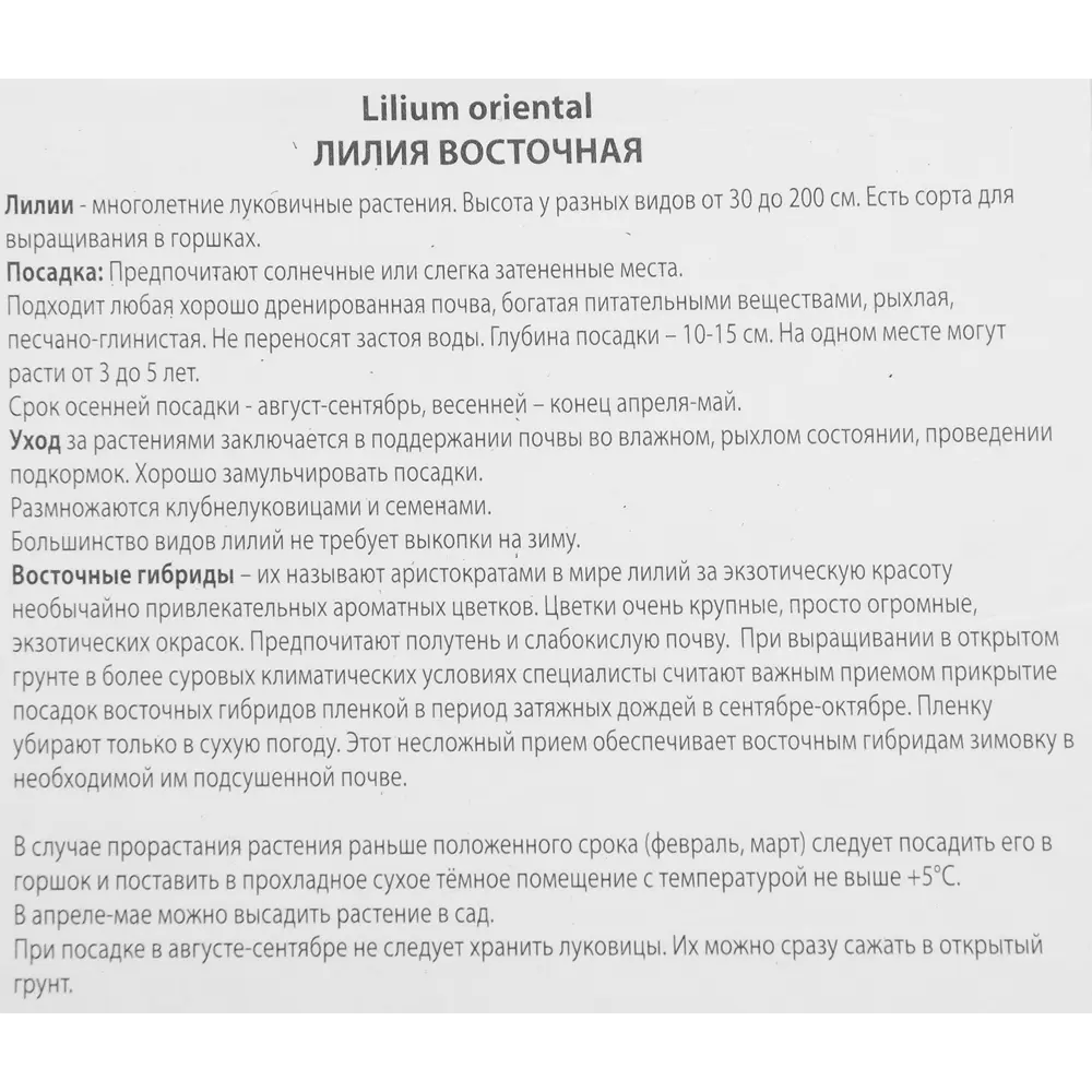 Лилия восточная Венесуэла ПОИСК STLM-2074931 - Вид №2