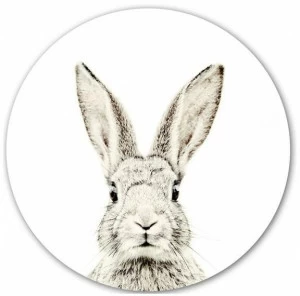 Groovy Magnets Стикер стены с магнитным рисунком Animal