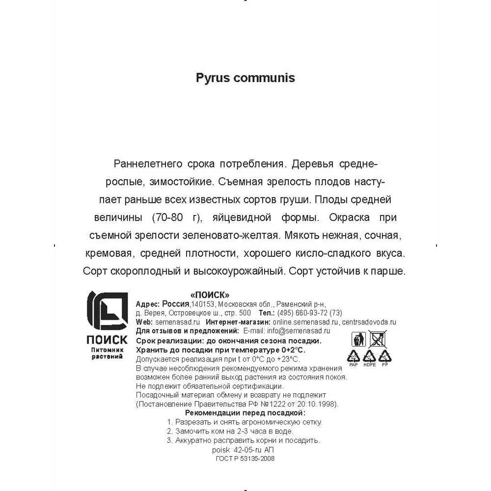 Груша Скороспелка Мичуринска сетка h180 см 86544028 STLM-2008793 Santreyd  - Вид №2