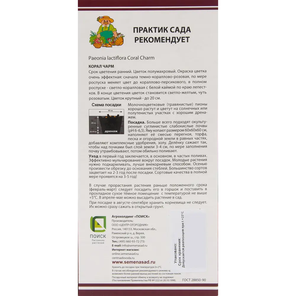 Пион молочноцветковый «Корал Чарм», размер луковицы I 82319606 STLM-2119513 Santreyd  - Вид №1