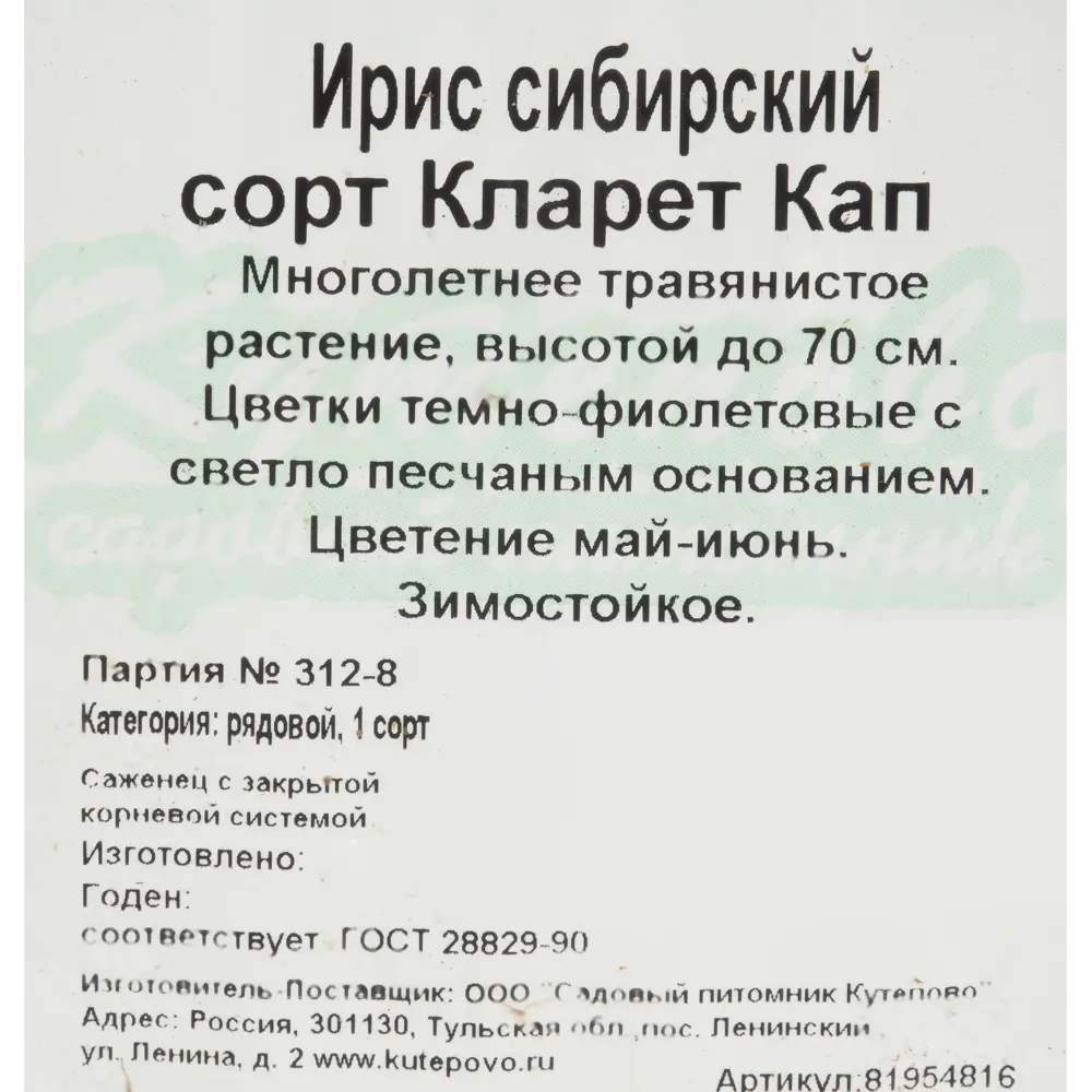 Santreyd Ирис сибирский «Кларет Кап» - фиолетовое цветение для сада 81954816 STLM-0961079 - Вид №1