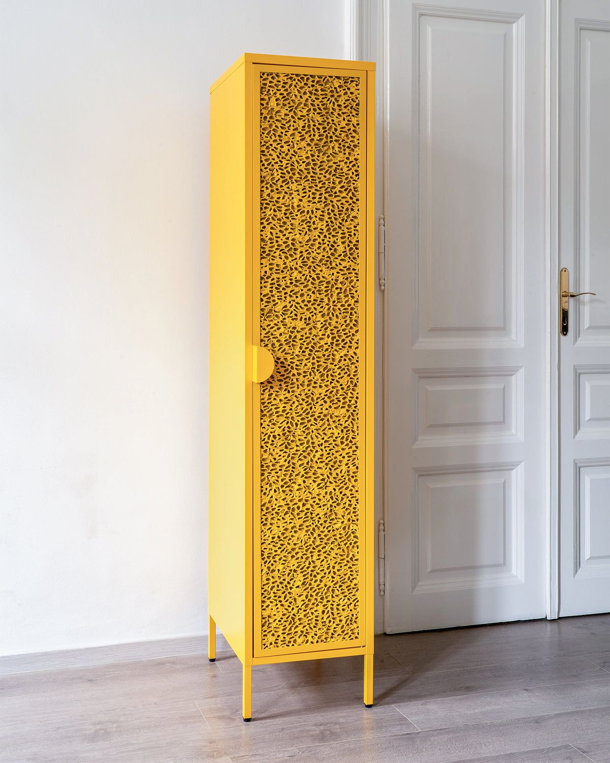 Металлический шкаф DBE.FURNITURE ANITA ARCH-00139827 - Вид №6