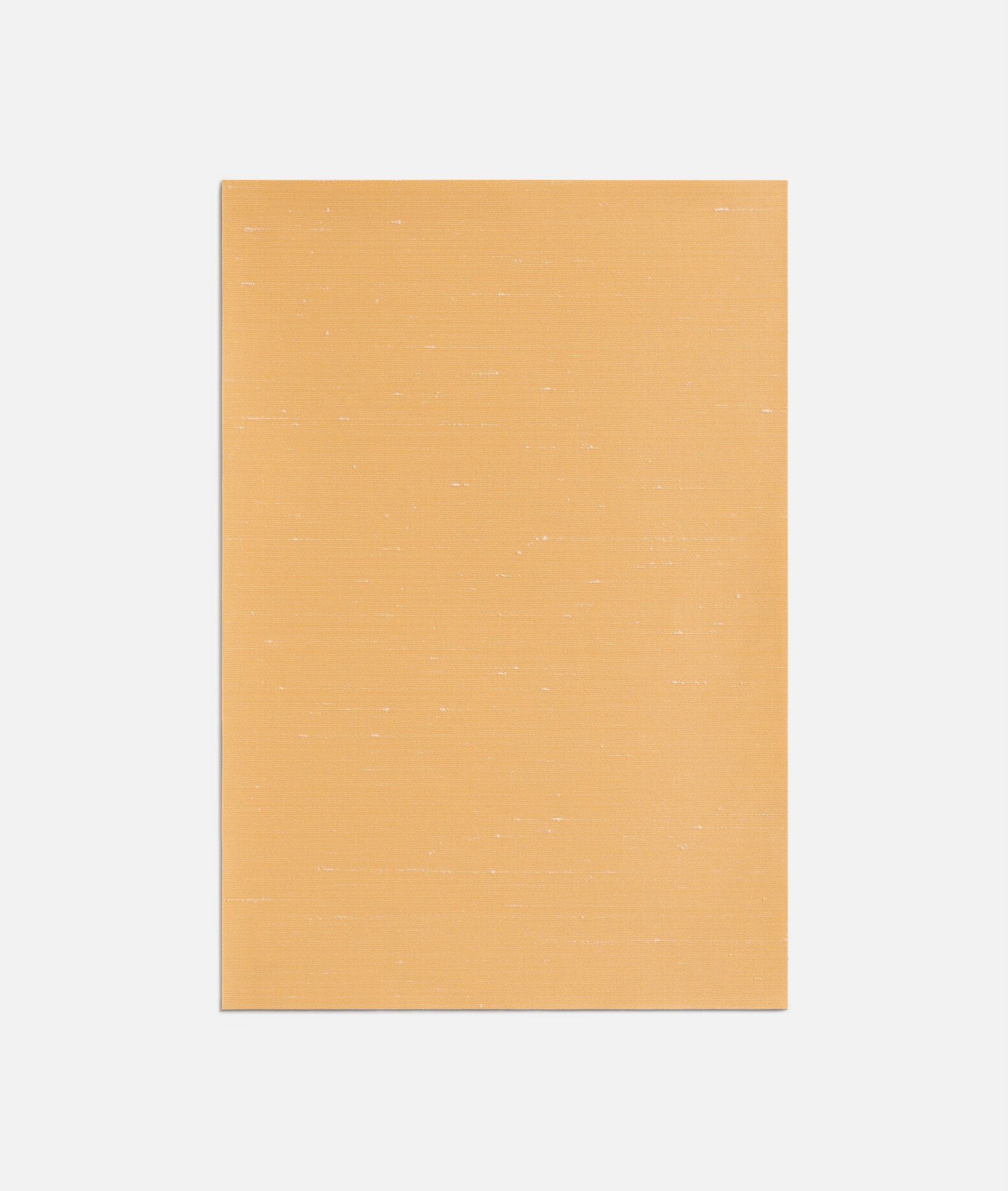 Моющаяся огнестойкая однотонная ткань Dedar ARCH-00144386 - Вид №15