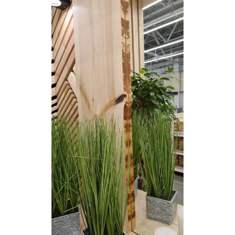 АРЕЛАН Слэб из массива сосны для дизайнерского интерьера 82004824 STLM-0016992 - Вид №3