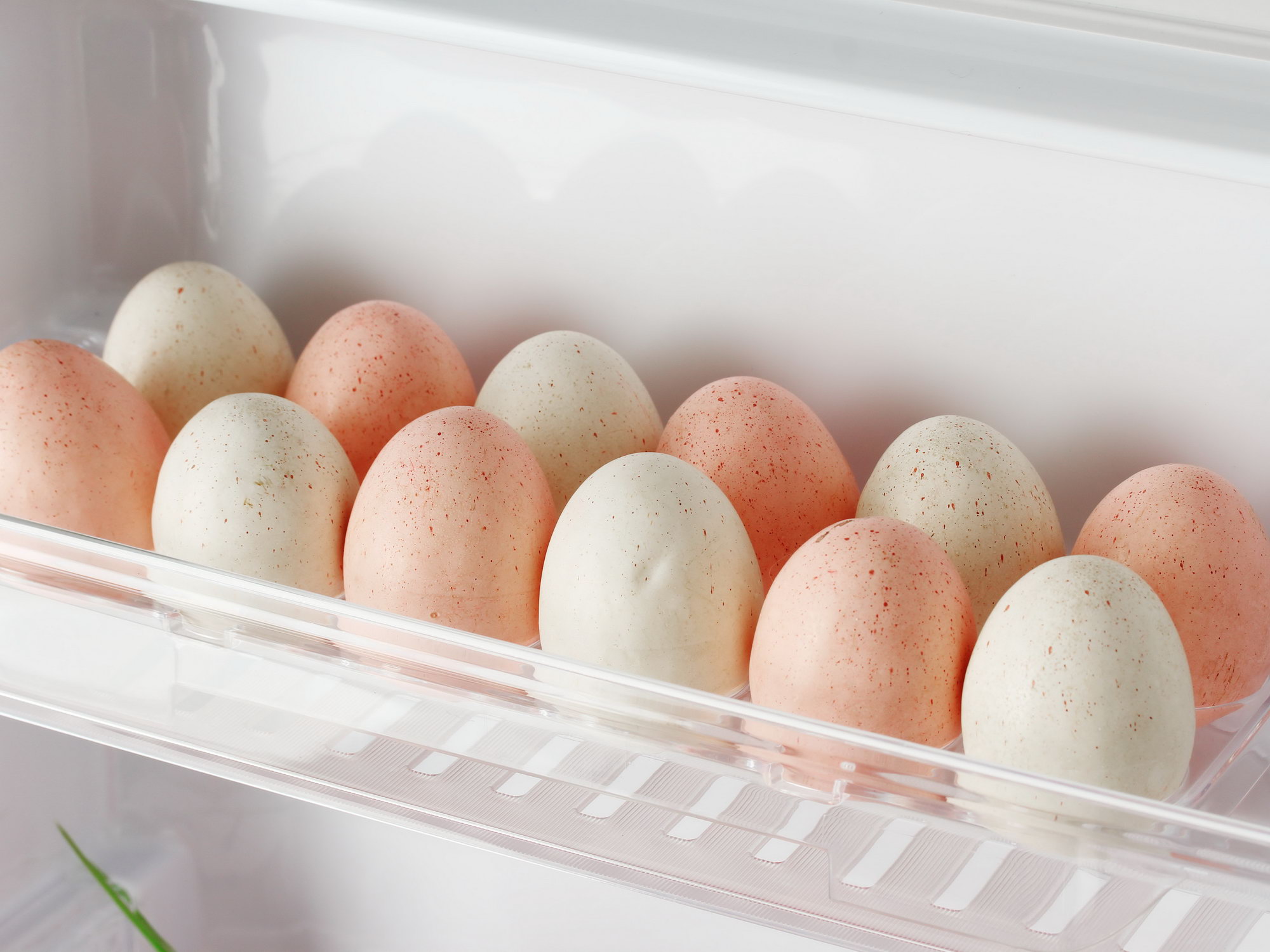 7919034 Холодильник с морозильником   Sharp SJXE55PMBK черный STDN-0084373 - Вид №15