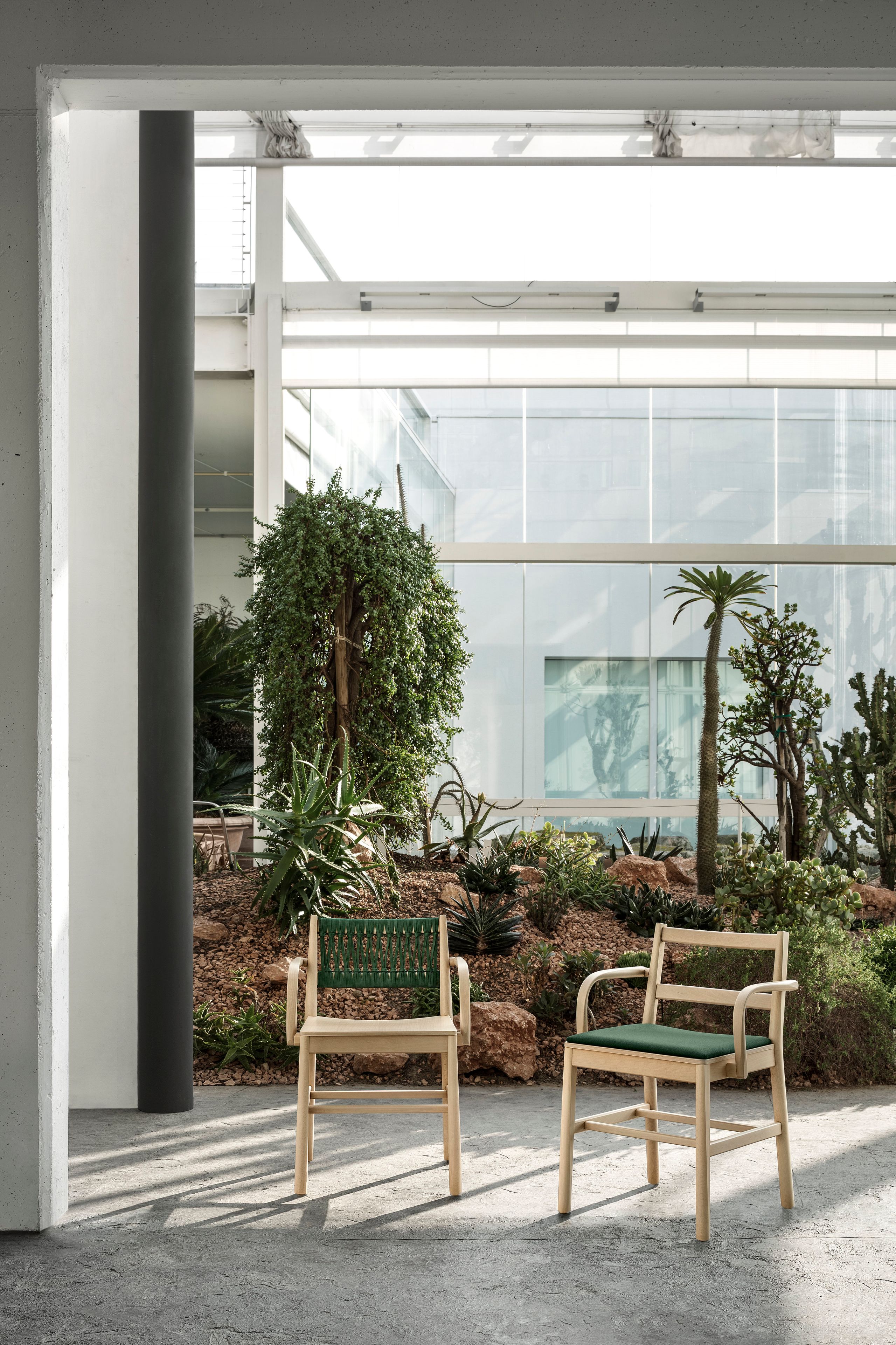 Стул из бука с подлокотниками с открытой спинкой TrabA' ARCH-00109282 - Вид №1