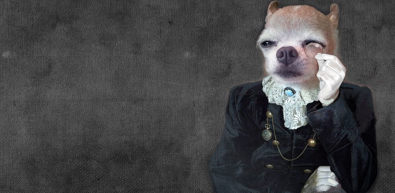 Обои Creativespace Stay Foolish ARCH-00133441 - Вид №1