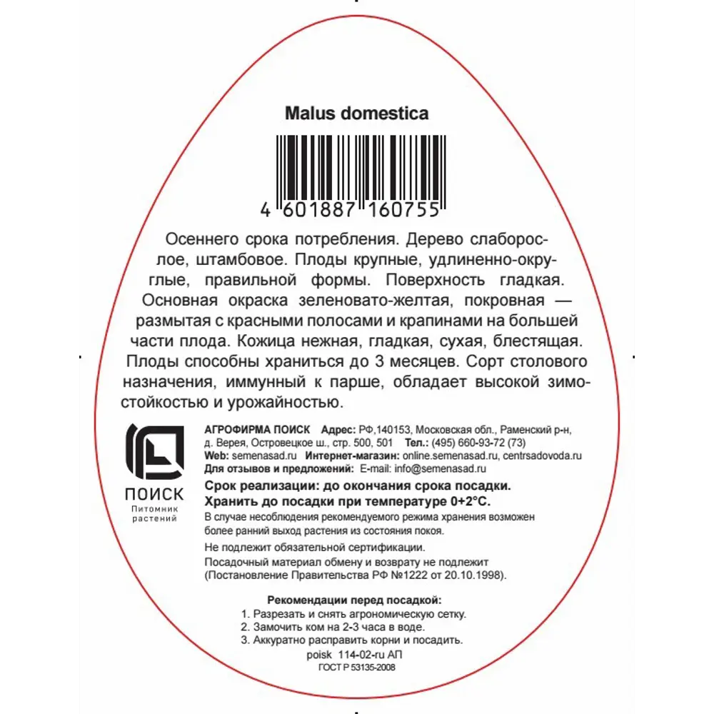 Яблоня Скала в тубе Поиск Инвест 83791270 STLM-2069096 Santreyd  - Вид №2
