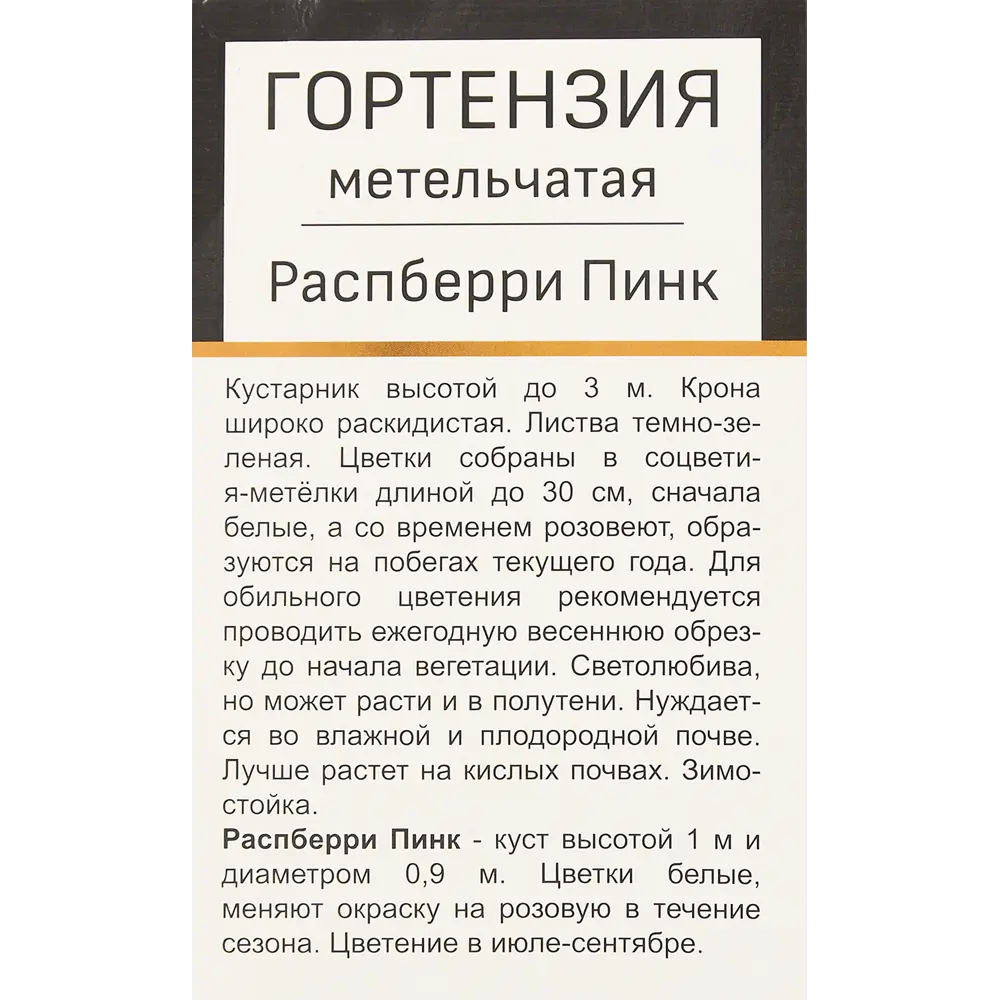 Гортензия метельчатая Распберри пинк h37 см 83786861 STLM-2051135 Santreyd  - Вид №2