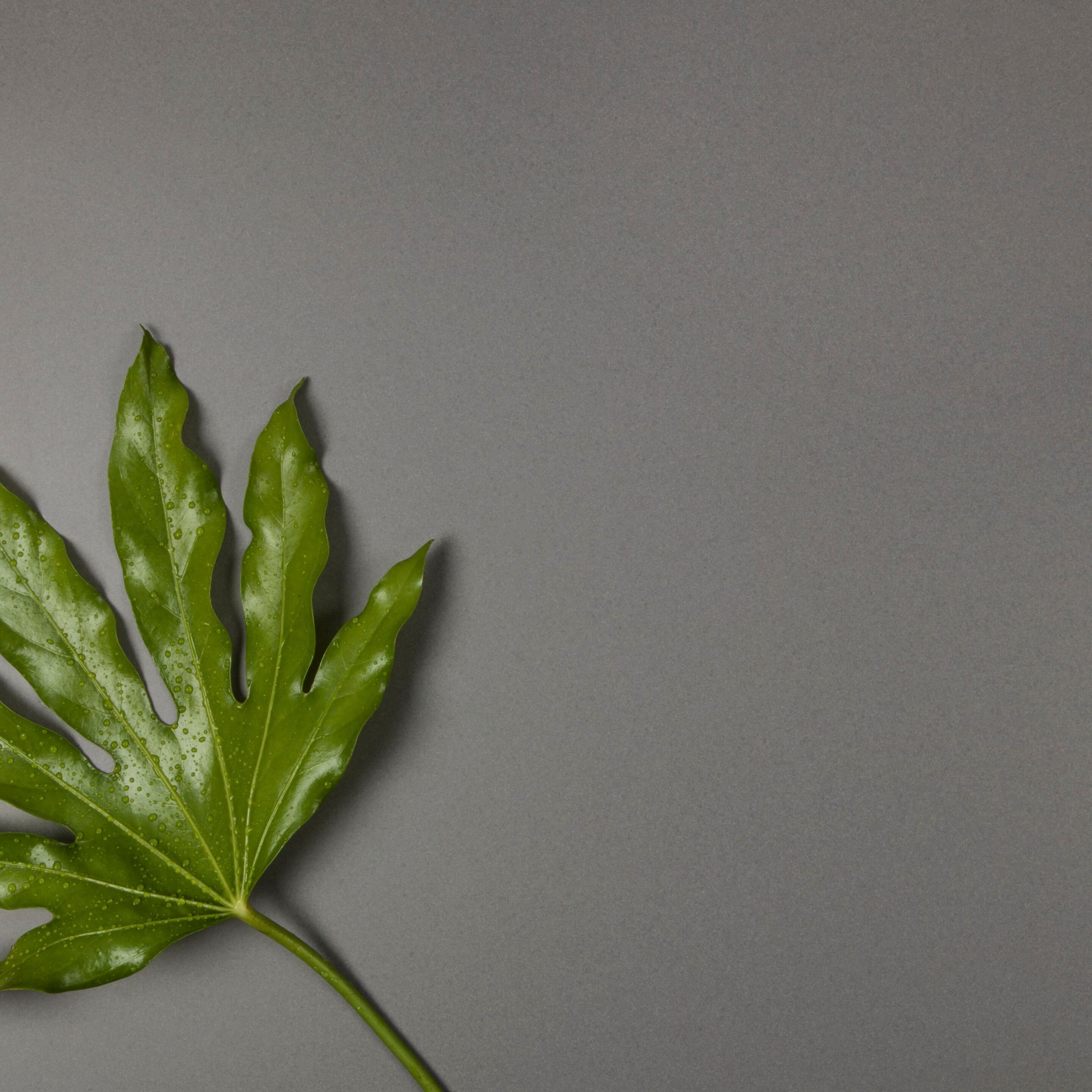 Напольное покрытие Lapitec® Musa ARCH-00048845 - Вид №7