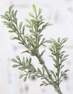 5074 883 a2 Искусственная ветка самшита, синтетический материал, 62 см, зеленый H-andreas