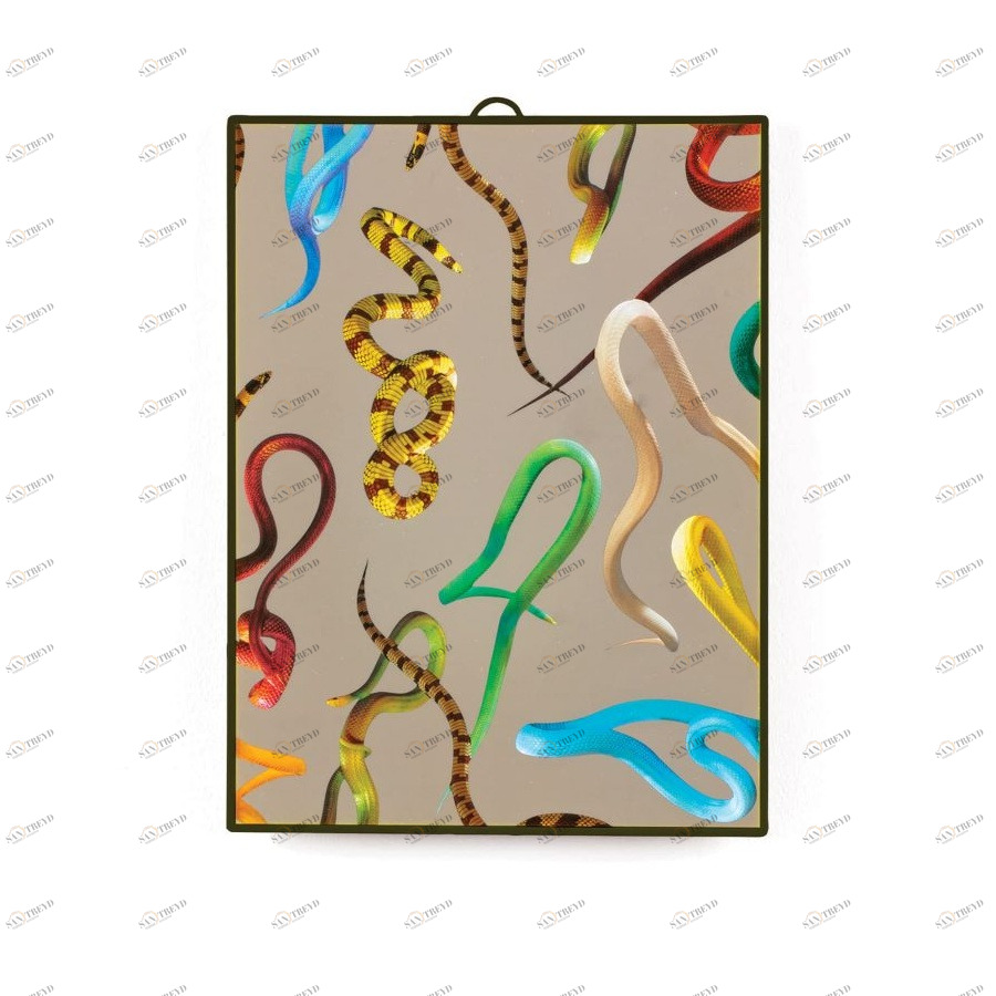 Зеркало настенное в пластиковой раме 29,5х22,5 см коричневое Snakes Medium SELETTI ДИЗАЙНЕРСКИЕ 00-3882991 Белый;синий 