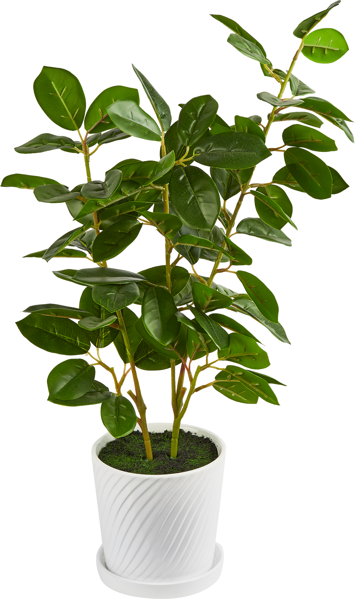 87681877 Искусственное растение мини дерево 61x12.5 см пластик STLM-0074887 Santreyd  - Вид №1