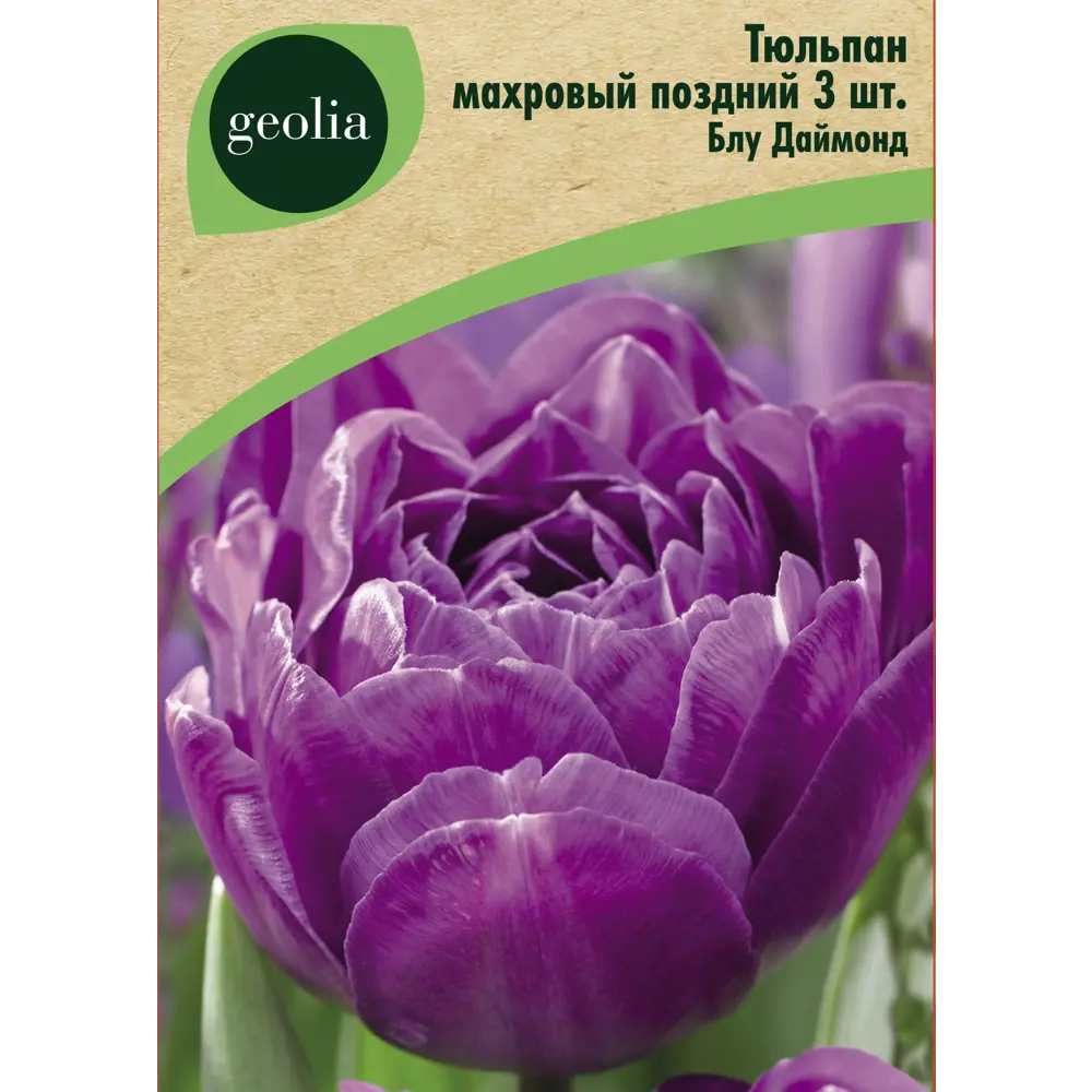 Тюльпан махровый поздний Блу Даймонд 3 шт. 88663303 STLM-2177255 GEOLIA 