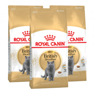 Т00008747*3 Корм для кошек British Shorthair Adult для породы Британская короткошёрстная сух. 2кг (упаковка - 3 шт) ROYAL CANIN