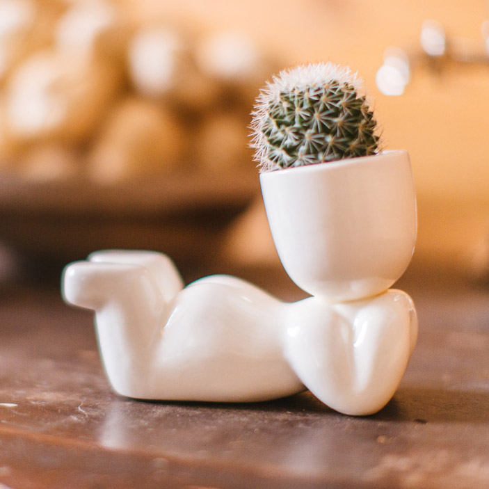 1003 Набор для выращивания eco мечтатель Экочеловеки  - Вид №2