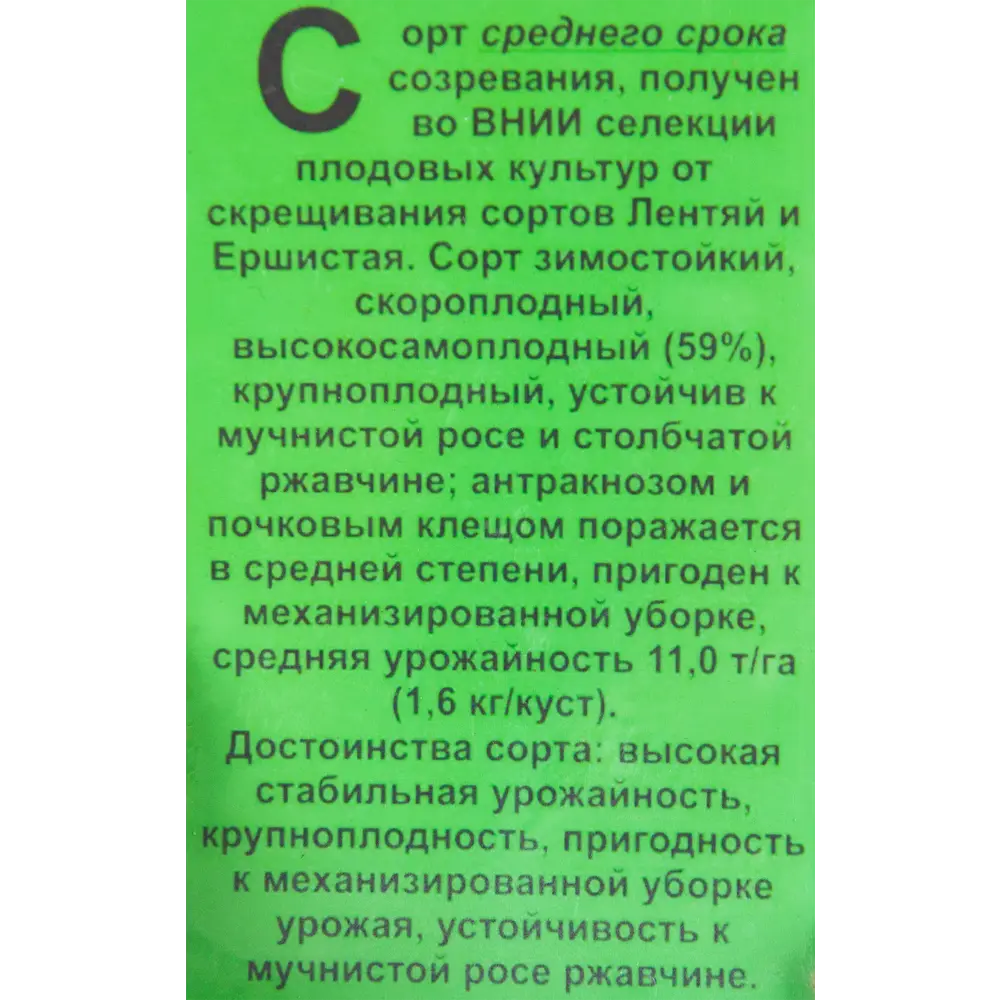 Смородина чёрная «Ажурная» 1.5-2 л высота 20-40 см 82601727 STLM-2080810 Santreyd  - Вид №1