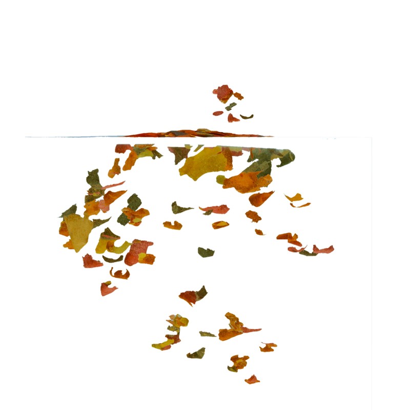 Т00017305 Корм для рыб Rubin в хлопьях для улуч.окраса всех видов рыб 10 л (ведро) TETRA  - Вид №2