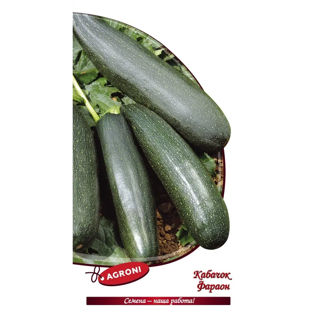Семена кабачка Фараон AGRONI - среднеранний сорт с черными плодами 89400819 STLM-1566630