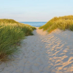 8-995-Sandy-Path Фотообои Komar Vol.15 3.68х2.54 м