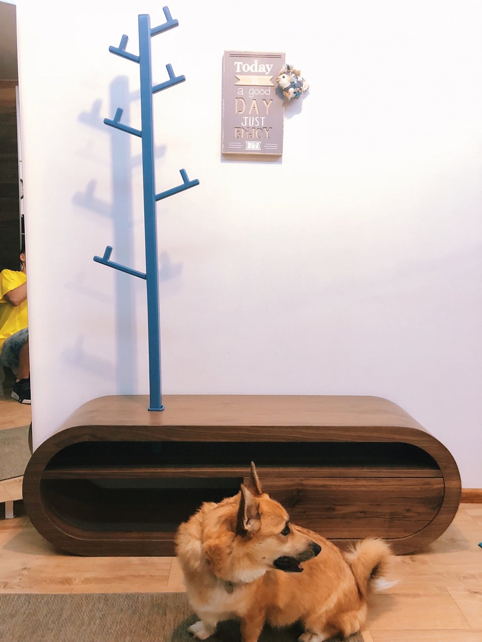 Банкетка Bellona серая с вешалкой ODINGENIY ДИЗАЙНЕРСКИЕ, ЦИКЛ 178307 Беленый дуб;серый  - Вид №9