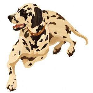 Художественный паркет Da Vinci Паркетный Декор 26-009 Долматинец Дуб Селект (Гладкая) 950х600 мм.