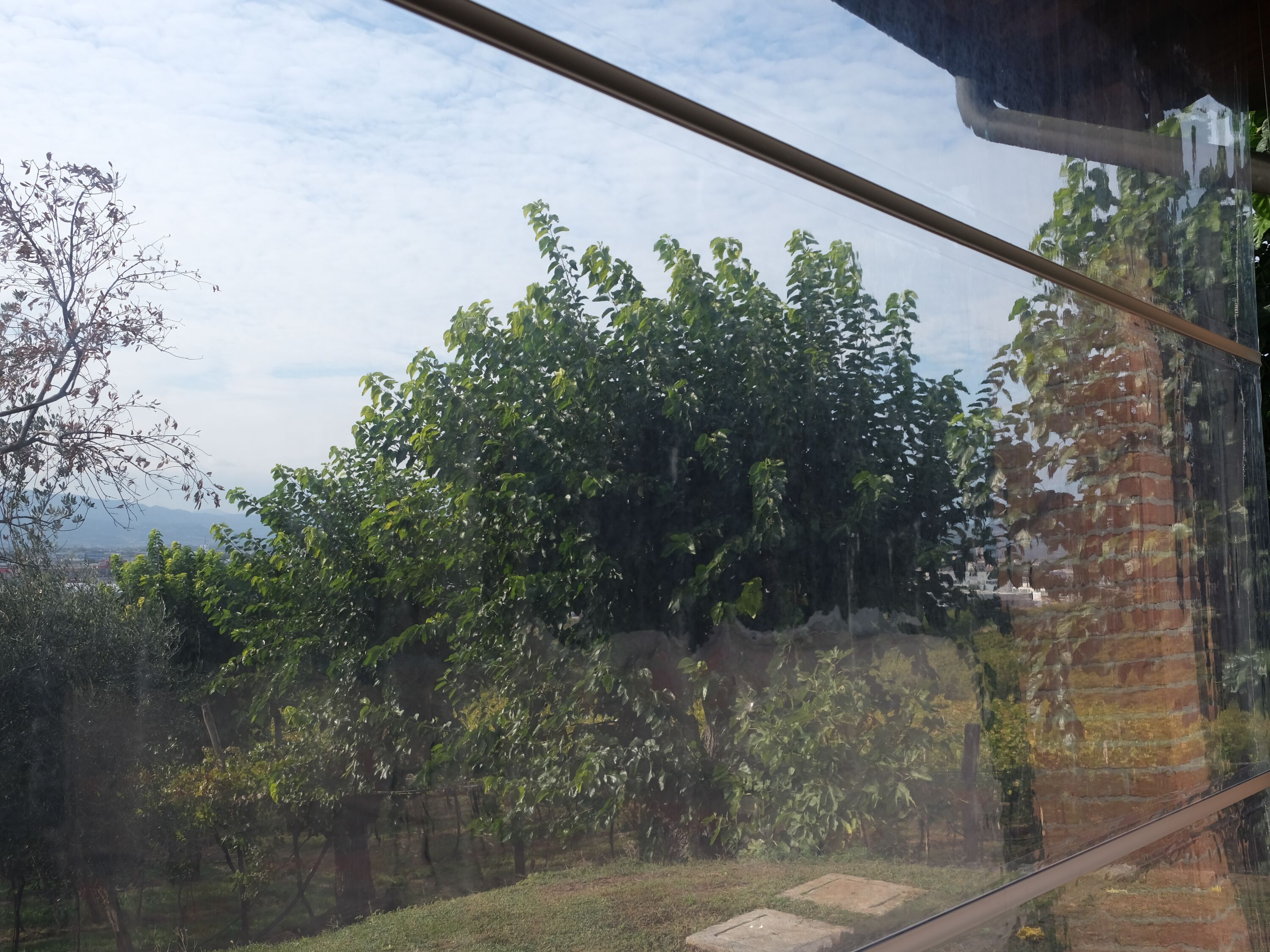 Тканевый козырек от солнца с ручками Maanta REEF ROOL ARCH-00036463 - Вид №11